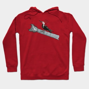 Punk Rock Woodpecker Hoodie